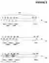 Fig. 07 - Copy process substituting compressible bit pattern for any unqualified data objects