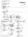 Fig. 08 - Copy process substituting compressible bit pattern for any unqualified data objects