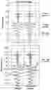 Fig. 03 - Housing for a seismic sensing element, and a seismic sensor
