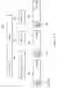Fig. 10 - Communication node and packet transfer method
