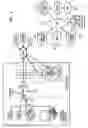 Fig. 08 - Hybrid fiber twisted pair local loop network service architecture