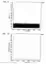 Fig. 09 - Packet scheduling method and apparatus