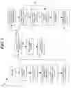 Fig. 02 - System and method for providing access to an interactive service offering