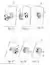 Fig. 10 - Sound modifying cap for housing