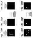 Fig. 12 - Method and apparatus for inspecting pattern defects