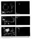 Fig. 07 - Unsupervised data segmentation