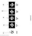 Fig. 11 - Global localization by fast image matching