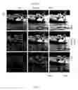 Fig. 06 - Digital composition of a mosaic image