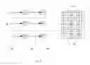 Fig. 10 - Digital composition of a mosaic image