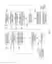 Fig. 08 - Personalization of mass-duplicated media