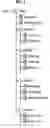 Fig. 02 - Recording medium and method and apparatus for reproducing and recording text subtitle streams