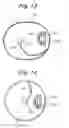 Fig. 13 - Developing device using a developing liquid and image forming apparatus including the same