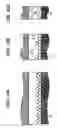 Fig. 13 - Image forming apparatus using a developing liquid