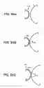 Fig. 27 - Image forming apparatus using a developing liquid