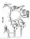 Fig. 28 - Image forming apparatus using a developing liquid