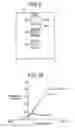 Fig. 09 - Apparatus for detecting amount of toner deposit and controlling density of image, method of forming misalignment correction pattern, and apparatus for detecting and correcting misalignment of image