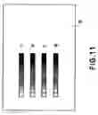 Fig. 09 - Image forming apparatus