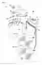 Fig. 04 - Ink jet printer