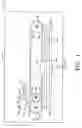 Fig. 02 - Flexible member tensioning