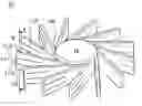 Fig. 01 - Heat-dissipating module, fan structure and impeller thereof
