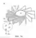 Fig. 08 - Heat-dissipating module, fan structure and impeller thereof