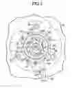 Fig. 04 - Expander