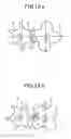Fig. 09 - Screw compressor and method of manufacturing rotors thereof