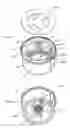 Fig. 19 - Programmable, fluid pressure actuated blood processing systems and methods