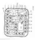 Fig. 31 - Programmable, fluid pressure actuated blood processing systems and methods