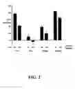 Fig. 03 - Methods for preparing multivalent constructs for therapeutic and diagnostic applications and methods of preparing the same