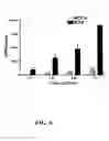 Fig. 07 - Methods for preparing multivalent constructs for therapeutic and diagnostic applications and methods of preparing the same