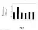 Fig. 02 - Topical cosmetic composition having a natural plant active ingredient and method of using same