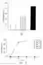 Fig. 02 - Therapeutic processes and useful compositions therefor