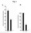Fig. 04 - Regulation of cell migration and adhesion