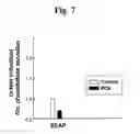 Fig. 07 - Regulation of cell migration and adhesion