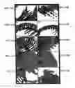 Fig. 20 - Compositions, methods and kits relating to CTHRC1, a novel modulator of collagen matrix