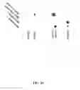Fig. 28 - Compositions, methods and kits relating to CTHRC1, a novel modulator of collagen matrix
