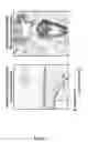 Fig. 16 - Means and methods for diagnosing and treating affective disorders