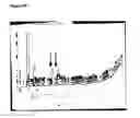 Fig. 08 - Virally infected plants as a source of insect reppellants/attractents