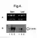 Fig. 04 - Semiochemical