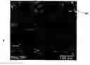 Fig. 01 - Tissue scaffolds for use in muscoloskeletal repairs