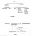 Fig. 02 - Composition and method for bone regeneration