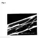 Fig. 04 - Feed for silkworm, silk produced from silkworms that feed on the feed for silkworm, and silk products made from the silk