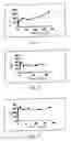 Fig. 02 - Pharmaceutical composition comprising an oil/water/oil double microemulsion incorporated into a solid support