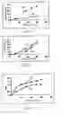 Fig. 04 - Pharmaceutical composition comprising an oil/water/oil double microemulsion incorporated into a solid support