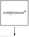 Fig. 10 - Rapid dissolution formulation of a calcium receptor-active compound