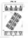 Fig. 14 - Systems, methods and apparatuses for manufacturing dosage forms