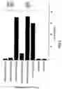 Fig. 04 - Composition for delivery of hematopoietic growth factor