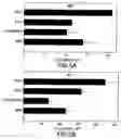 Fig. 06 - Composition for delivery of hematopoietic growth factor