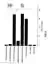 Fig. 04 - Composition for delivery of hematopoietic growth factor